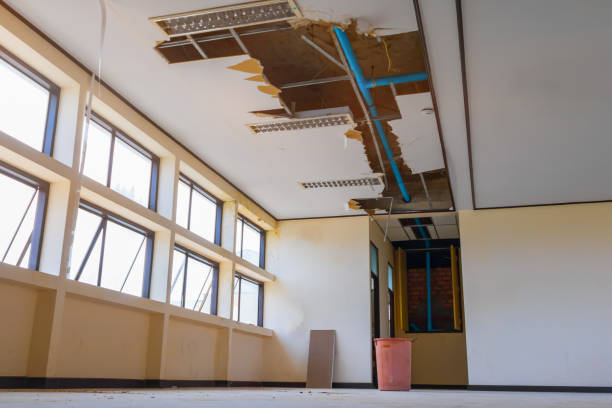 Best Water damage restoration experts  in West Portsmouth, OH