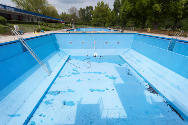 Best Professional water damage repair  in West Portsmouth, OH