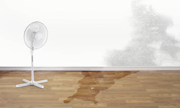 Best 24-hour water damage restoration  in West Portsmouth, OH
