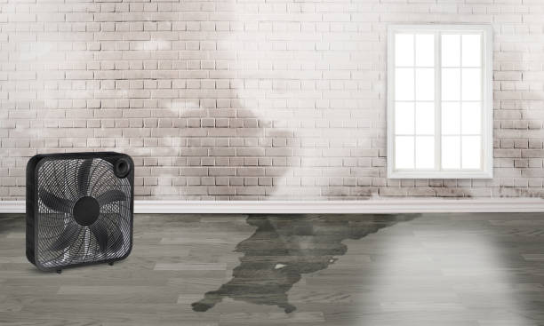 Best Sewage cleanup and water damage restoration  in West Portsmouth, OH