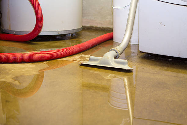 Water damage restoration mold remediation in West Portsmouth, OH