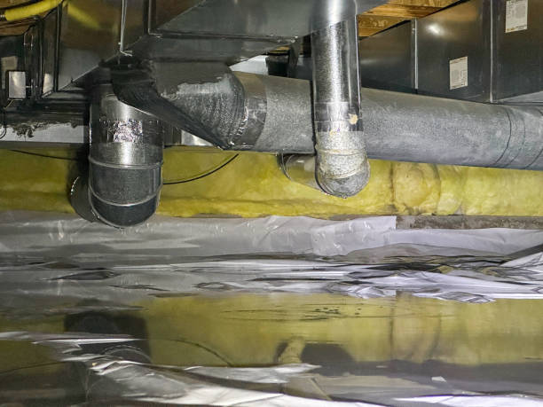 Best Mold removal after water damage  in West Portsmouth, OH