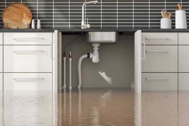 Best Water damage contractors near me  in West Portsmouth, OH