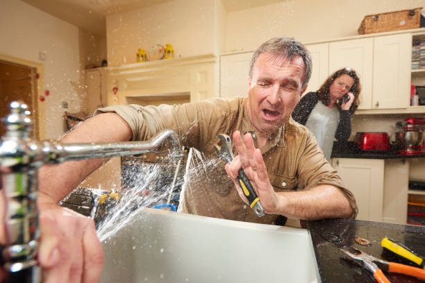 Best Flood damage cleanup  in West Portsmouth, OH